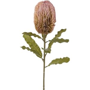 Umelá Rastlina Banksie, V: 65cm