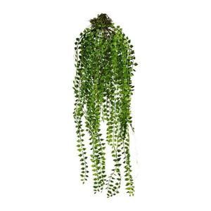 Kunstpflanze Columnea In Grün Ca. 70cm