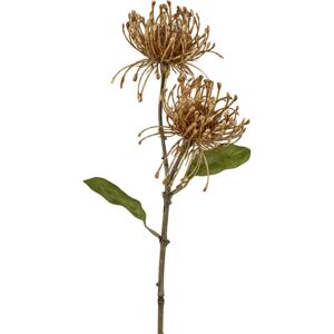 Umelá Rastliny Protea, V: 56cm