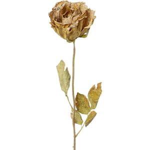 Umelý Kvet Ruža, V: 53cm